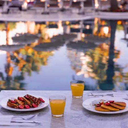 Delight & Hotel 4*